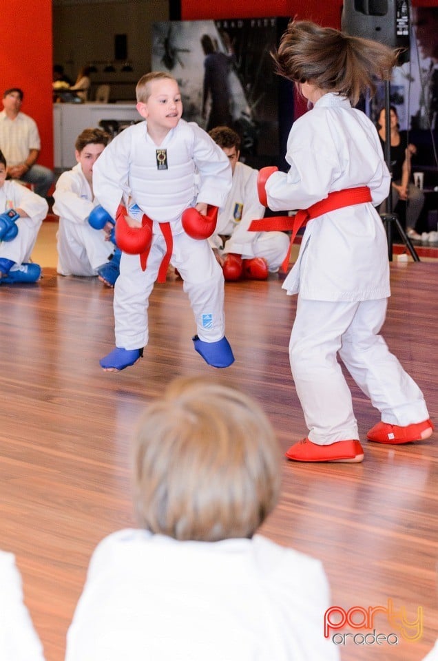 Demonstrativ Karate, 