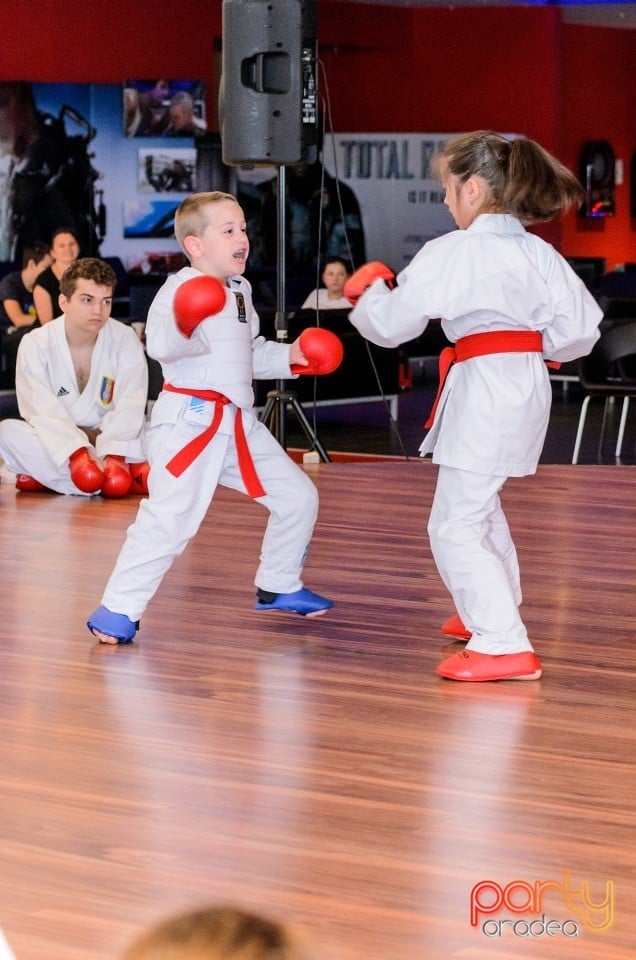 Demonstrativ Karate, 
