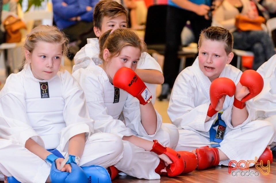 Demonstrativ Karate, 