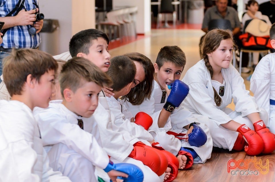 Demonstrativ Karate, 