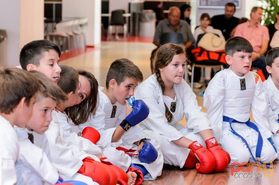 Demonstrativ Karate, 