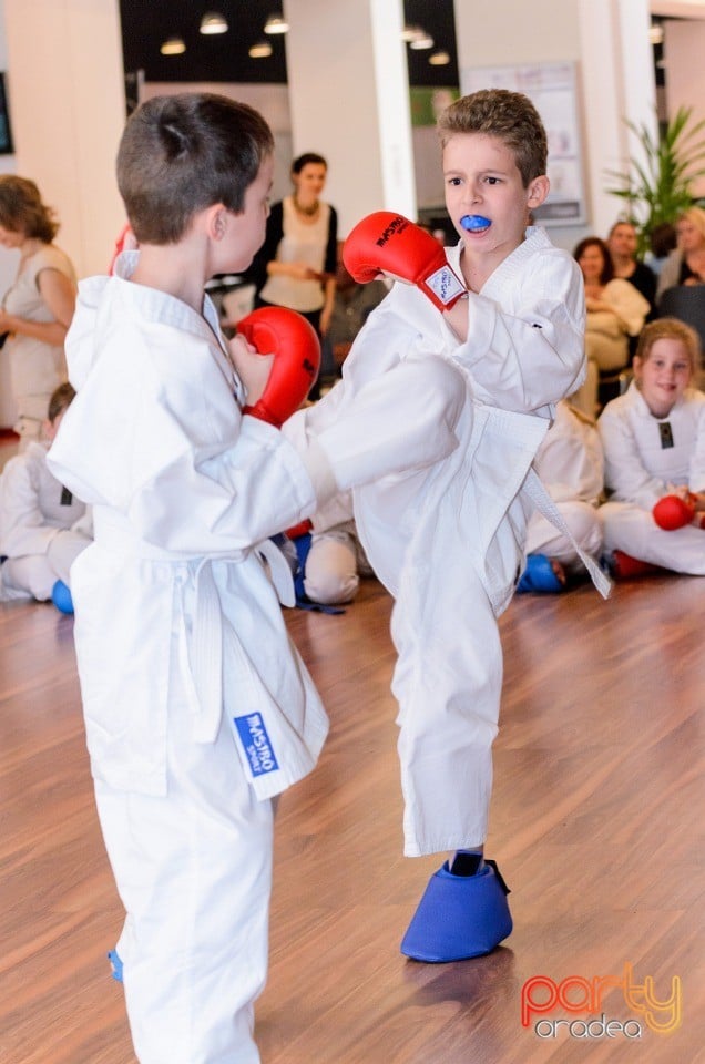 Demonstrativ Karate, 