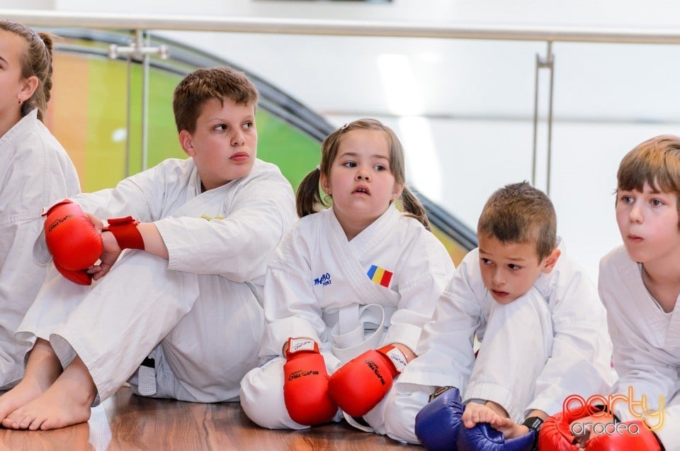 Demonstrativ Karate, 