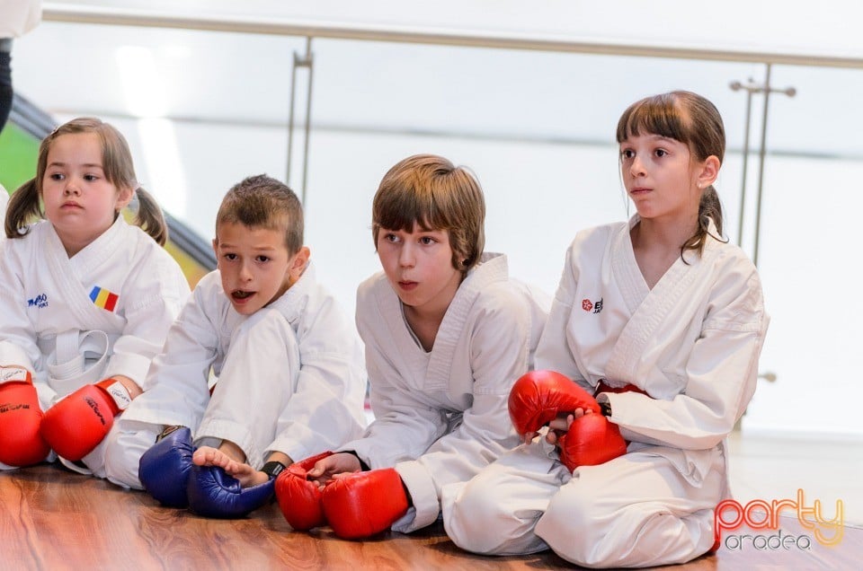 Demonstrativ Karate, 