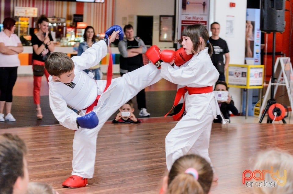 Demonstrativ Karate, 