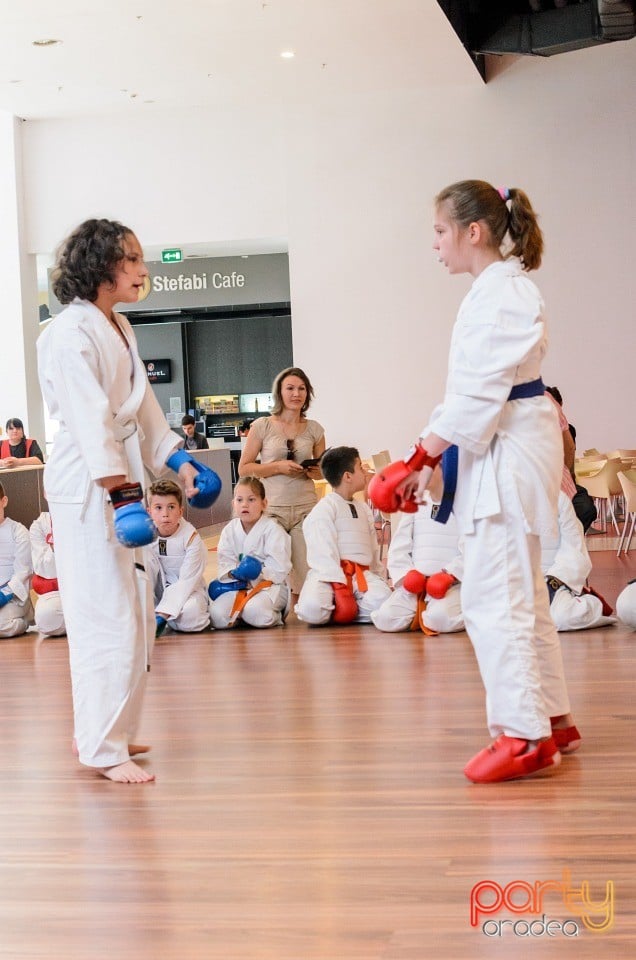 Demonstrativ Karate, 