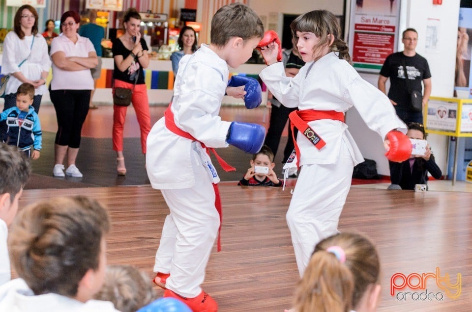 Demonstrativ Karate, 