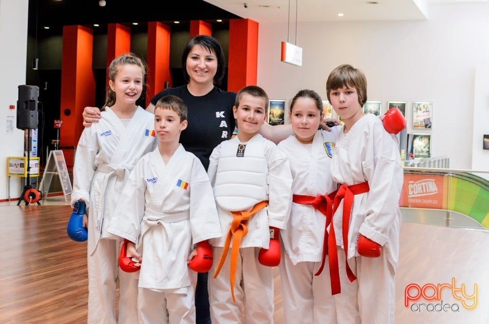 Demonstrativ Karate, 
