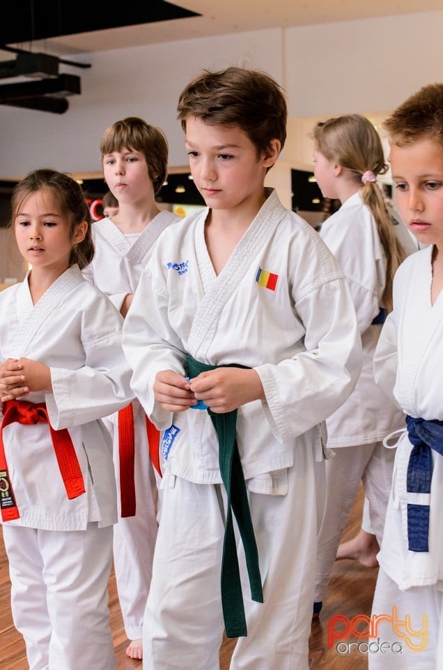 Demonstrativ Karate, 