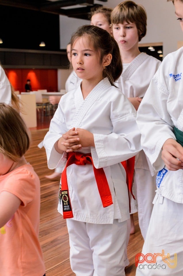 Demonstrativ Karate, 