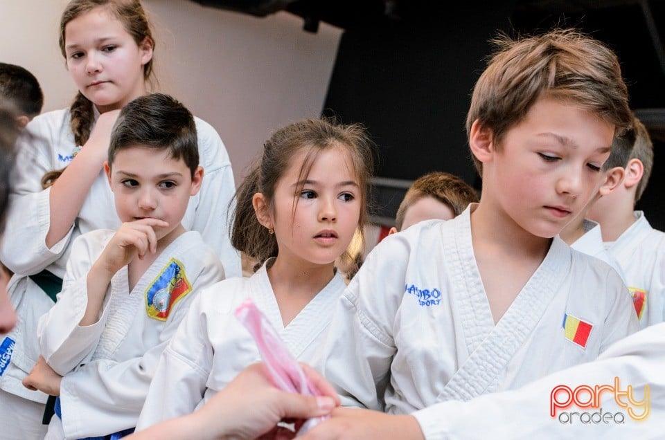 Demonstrativ Karate, 