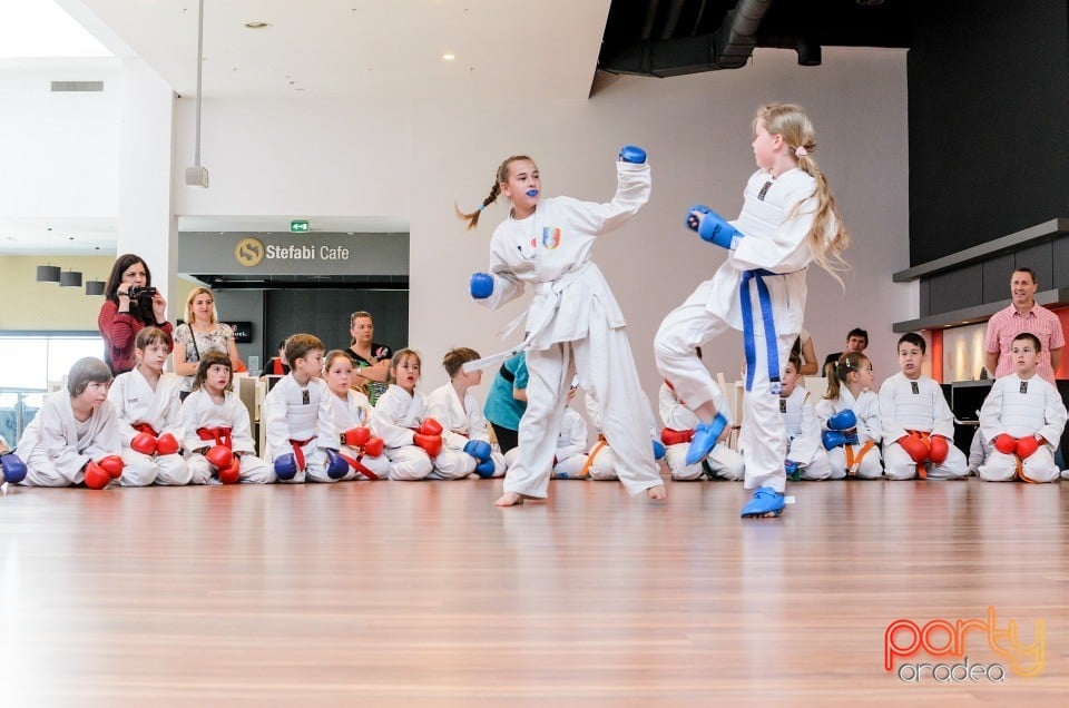 Demonstrativ Karate, 