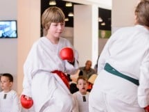 Demonstrativ Karate