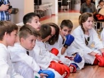 Demonstrativ Karate