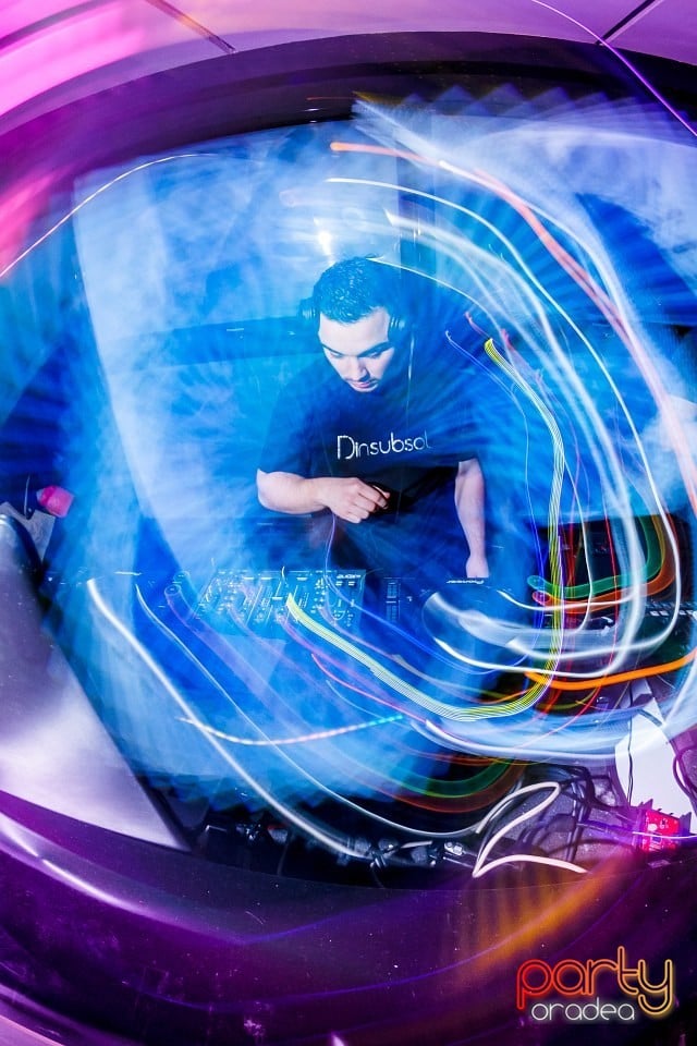 Dinsubsol Românesc, 