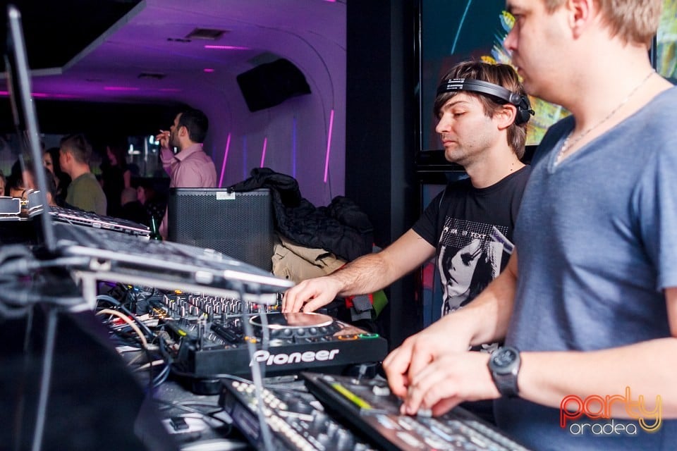 Dinsubsol Românesc, 