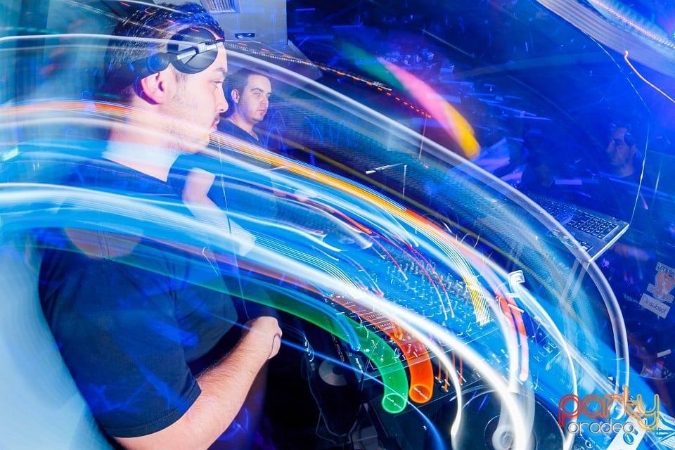 Dinsubsol Românesc, 