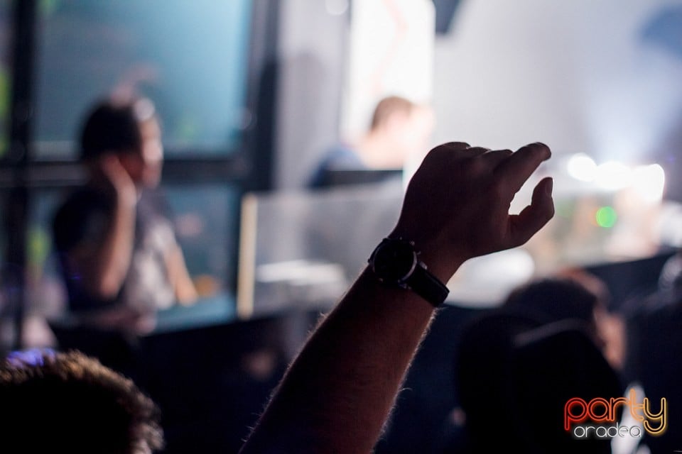 Dinsubsol Românesc, 