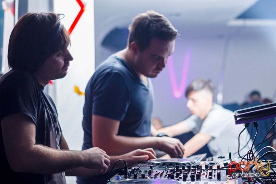 Dinsubsol Românesc, 