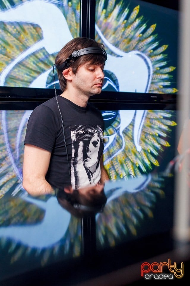 Dinsubsol Românesc, 