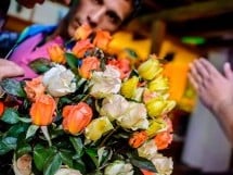 Distracţie în Window