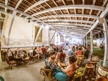 Distracţie la Bodega