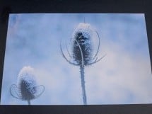 Expo Photo - Începuturi