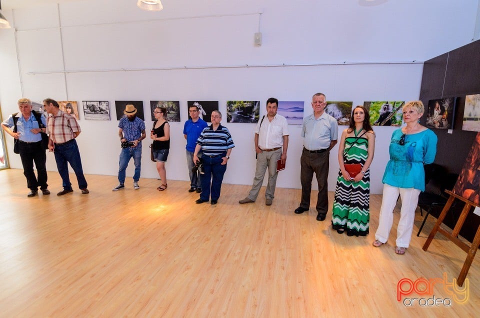 Expo Photo, Ovidpop Art Photo Gallery