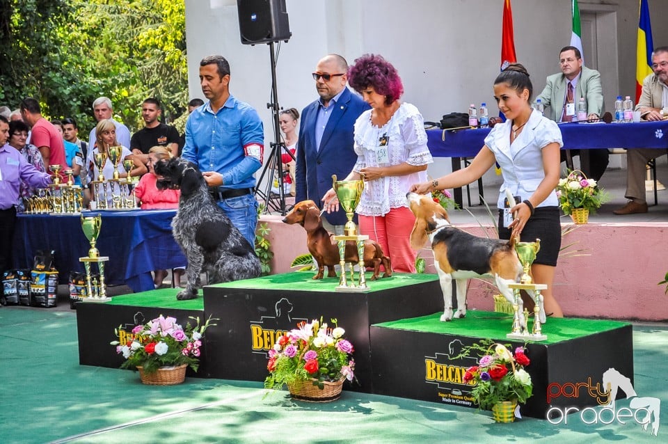Expozitie canina, Oradea