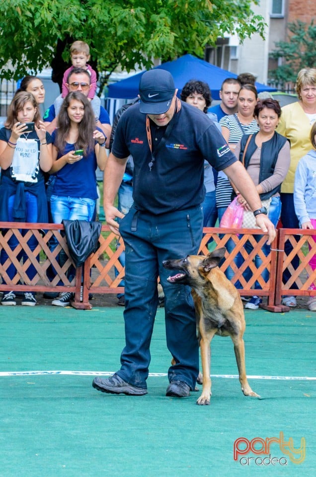Expoziţie canină, Oradea