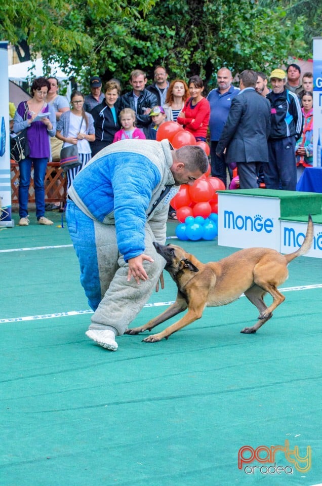 Expoziţie canină, Oradea