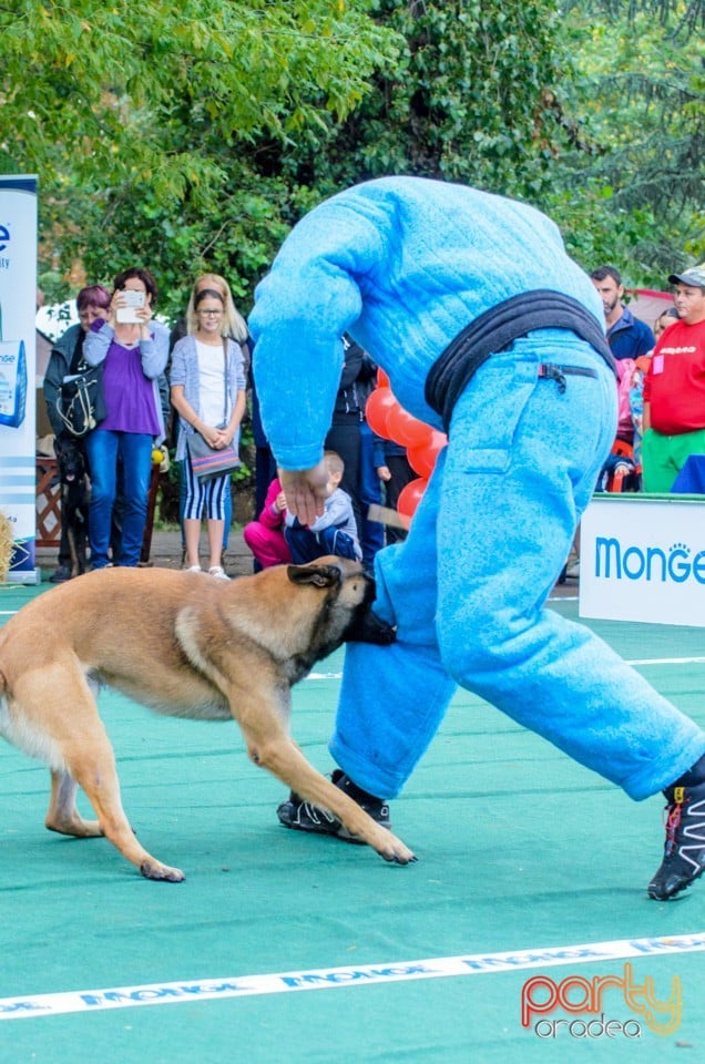 Expoziţie canină, Oradea