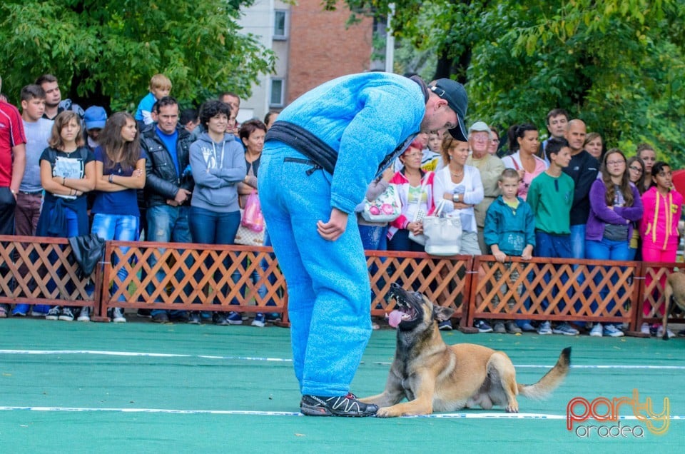 Expoziţie canină, Oradea