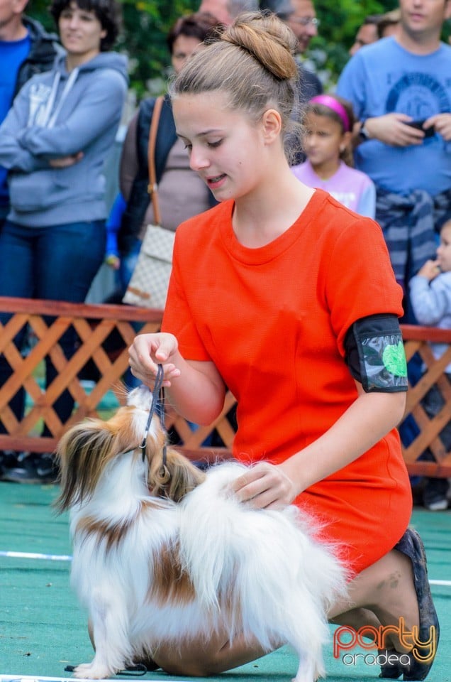 Expoziţie canină, Oradea