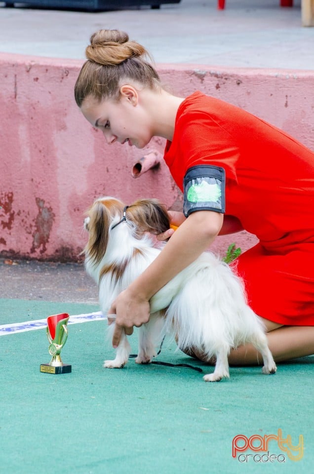 Expoziţie canină, Oradea