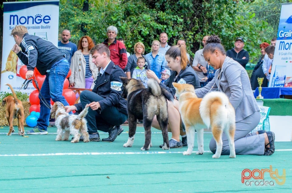 Expoziţie canină, Oradea
