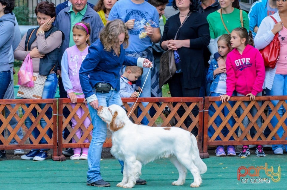 Expoziţie canină, Oradea