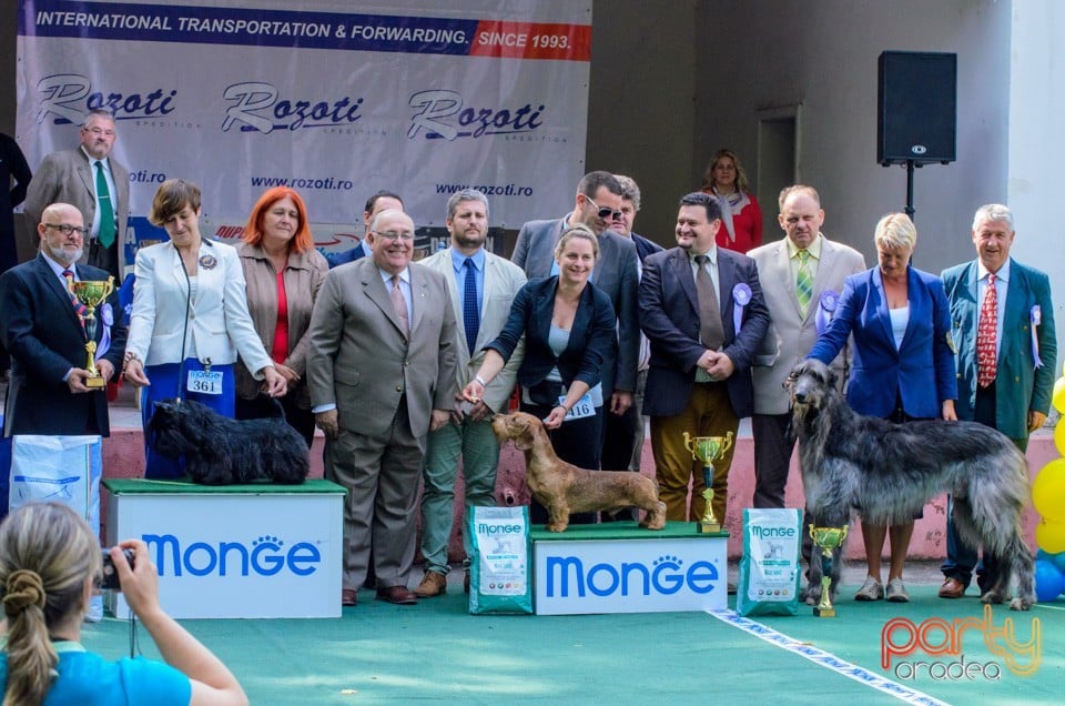 Expoziţie canină, Oradea