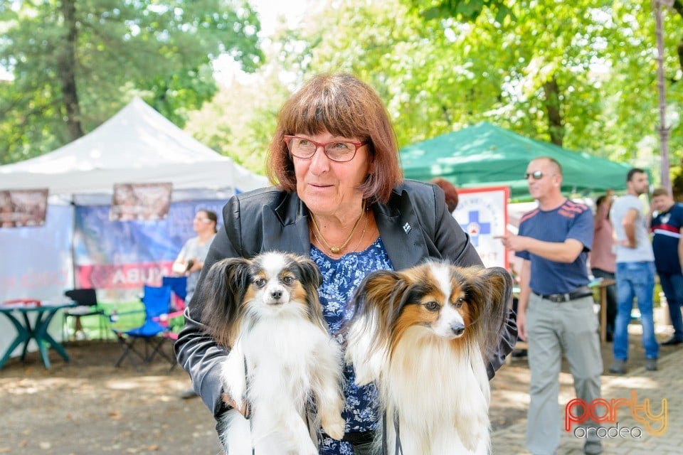 Expoziţie canină, Oradea