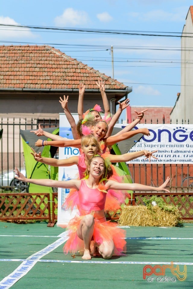 Expoziţie canină, Oradea
