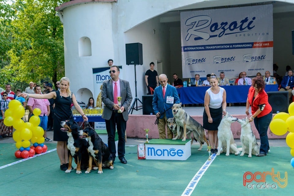 Expoziţie canină, Oradea