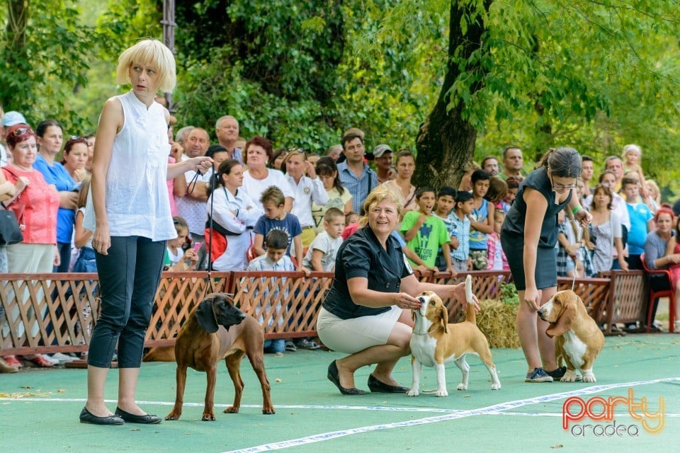 Expoziţie canină, Oradea
