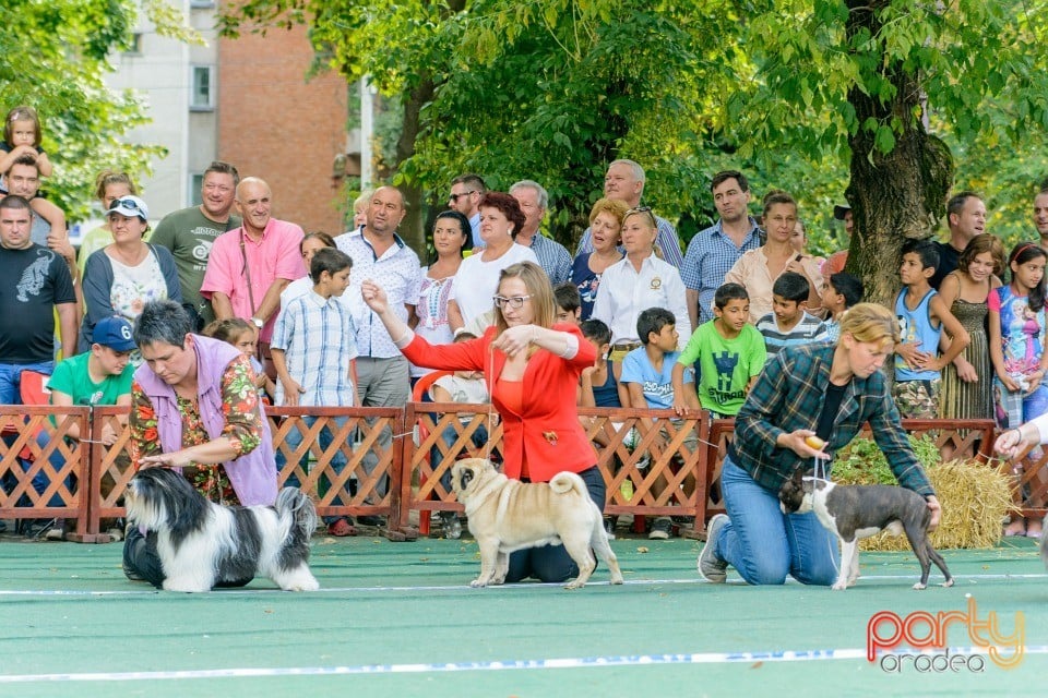 Expoziţie canină, Oradea