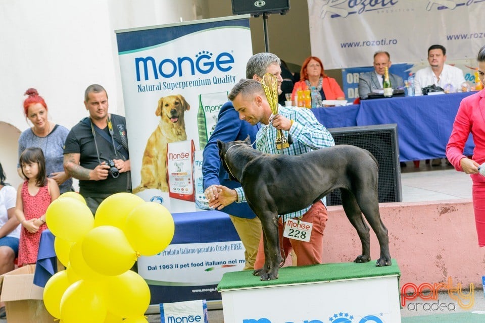 Expoziţie canină, Oradea