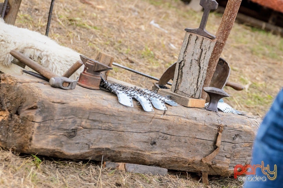 Expoziţie de arme şi armuri, Cetatea Oradea