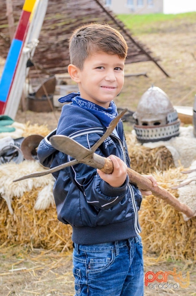 Expoziţie de arme şi armuri, Cetatea Oradea