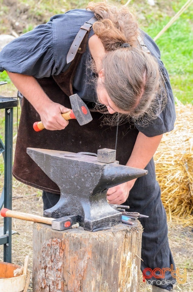 Expoziţie de arme şi armuri, Cetatea Oradea