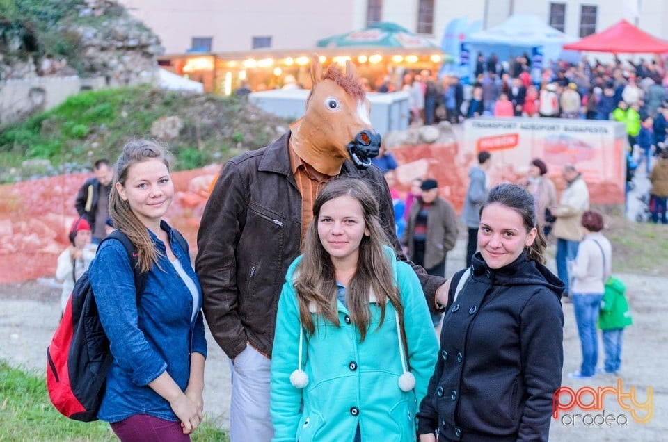 Expoziţie de arme şi armuri, Cetatea Oradea