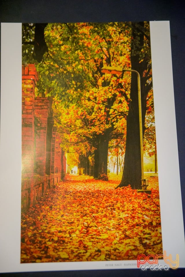 Expoziţie de Fotografie