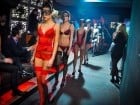 Fashion Night Dressing Show